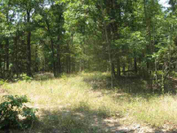 photo for Lot 36 Cr 1434