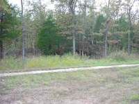 Lot 30 Spring Street St, Mountain Home, AR Image #7592632