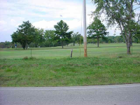 Lot 30 Spring Street St, Mountain Home, AR Image #7592638