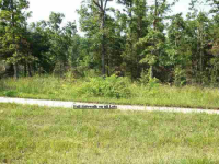 Lot 31 Spring Street St, Mountain Home, AR Image #7592643