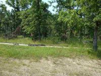 Lot 31 Spring Street St, Mountain Home, AR Image #7592642