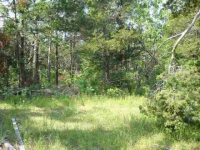 Lot 31 Spring Street St, Mountain Home, AR Image #7592640