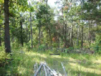 Lot 32 Buzzard Roost Road Rd, Mountain Home, AR Image #7592648