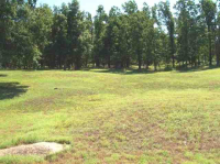 00 Green Valley Drive, Mountain Home, AR Image #7592820