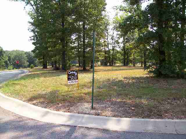 Lot 104 Magness Drive, Gassville, AR Main Image