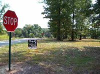 Lot 104 Magness Drive, Gassville, AR Image #7594467