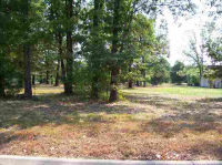 Lot 104 Magness Drive, Gassville, AR Image #7594470