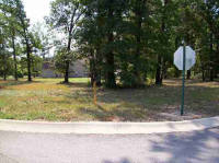 Lot 104 Magness Drive, Gassville, AR Image #7594468