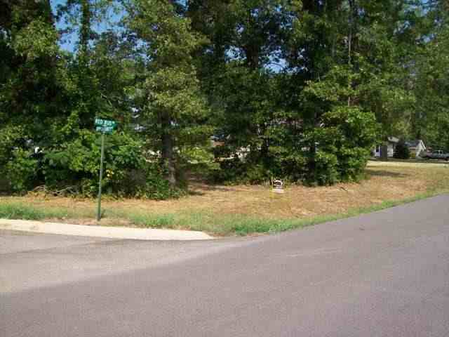 Lot 118 Red Bud Road, Gassville, AR Main Image
