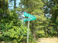 Lot 118 Red Bud Road, Gassville, AR Image #7594477