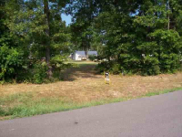 Lot 118 Red Bud Road, Gassville, AR Image #7594473