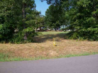 Lot 118 Red Bud Road, Gassville, AR Image #7594474