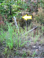 1095 County Road 1193, Gassville, AR Image #7594532