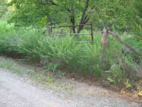 1095 County Road 1193, Gassville, AR Image #7594533