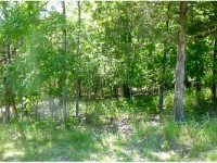 photo for Lot 42 Table Rock Dr.