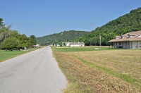 Lot 4 Valley Drive, Cotter, AR Image #7598058