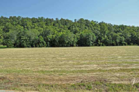 Lot 4 Valley Drive, Cotter, AR Image #7598056