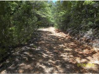 000 cedar creek road, Mountain View, AR Image #7600450