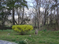 942 England Cemetery Rd., Mammoth Spring, AR Image #7600809