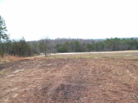 0000 Old Dolph Road Rd, Calico Rock, AR Image #7601852