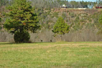 405 County Road 101, Norfork, AR Image #8558643