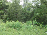 Lot 10 County Road 274, Mountain Home, AR Image #8558649