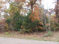 Lot 22 County Road 419, Mountain Home, AR Image #8558676