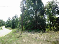 Lts 116-12 Lake Heights Drive, Mountain Home, AR Image #8558738