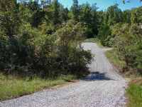 Lot 28 County Road 1084, Midway, AR Image #8559435