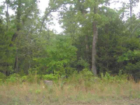 000 Marion County 8131, Flippin, AR Image #8559472