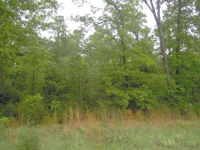 000 Marion County 8131, Flippin, AR Image #8559471