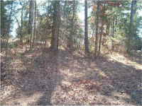 LOT 730 HICKORY DR, Rogers, AR Image #9760455