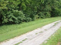 photo for Lot 21, Rolling Meadows Drive