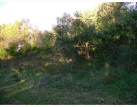 photo for Lot 9 FAYETTEVILLE OUTLOTS