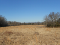 photo for 94.49 acres Thompson Rd.