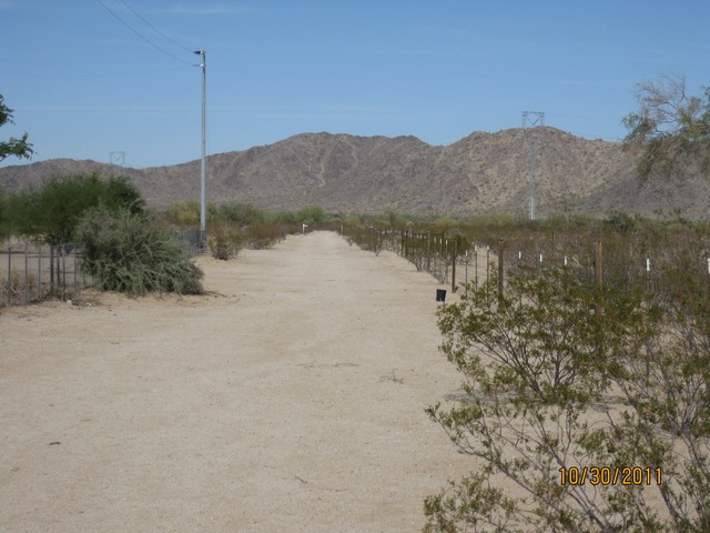Desert Valley And Up, Maricopa, AZ Main Image