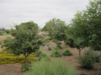 4205 South 73rd Drive, Phoenix, AZ Image #4006331
