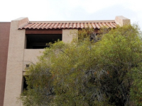 540 N May Street  Unit 3068, Mesa, AZ Image #4010353