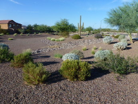 2725 E Mine Creek Road Unit 1058, Phoenix, AZ Image #4074122