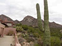 10083 N Bighorn Butte Drive, Tucson, AZ Image #4200225