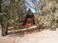 5653 Pine Ridge Dr Fka Lot 168 Clear Creek, Happy Jack, Arizona  Image #4729544