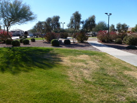 6963 West Cactus Wren Drive, Glendale, AZ Image #5368954