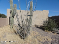 830 E Limberlost Dr, Tucson, Arizona  Image #5372704