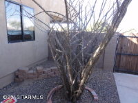 830 E Limberlost Dr, Tucson, Arizona  Image #5372702