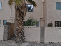 2156 N 1st Avenue, Tucson, AZ Image #5671959
