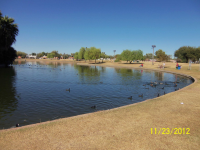 123 w 123 ave, Phoenix, AZ Image #5998301