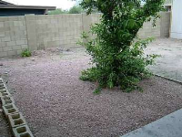 1830 W. Wahalla Lane, Phoenix, AZ Image #6006211