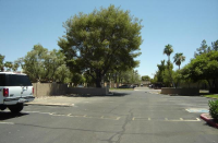 1730 W Emelita Ave Apt 1029, Mesa, AZ Image #6562692