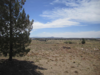 255 W Antelope Run Road, Paulden, AZ Image #6625014