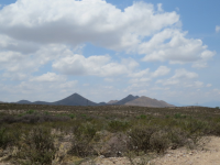 946 W Cholla Trail, Tombstone, AZ Image #6724458